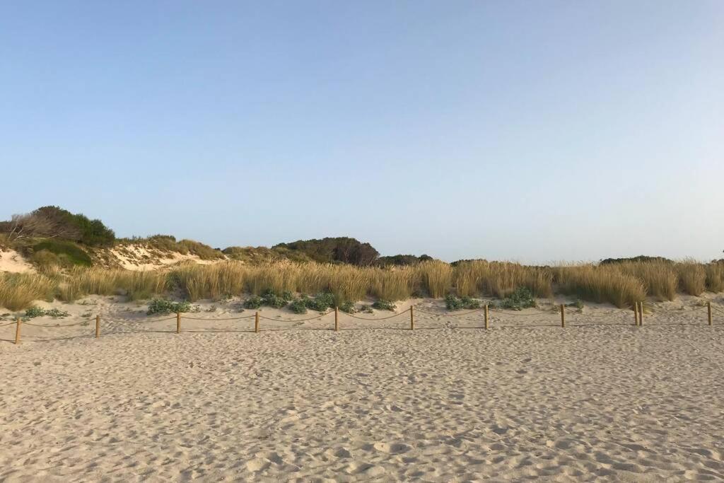 Escapa a la naturaleza, redescubre la paz. Menorca Son Parc Exterior foto